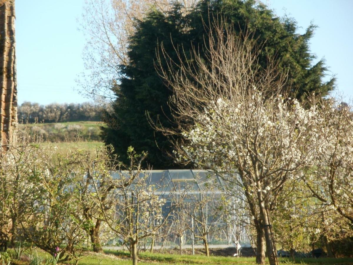 La Ferme Fleurie Villa Echinghen Exteriör bild